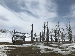 -新疆那拉提国家旅游度假区