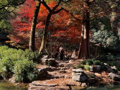 -杭州植物园
