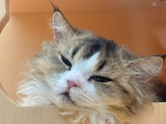 -blend咖啡部落(车公庙店)