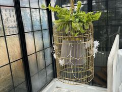 -娜娜的大房子
