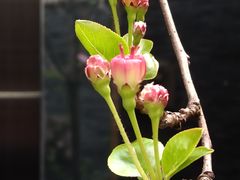 -南堂馆·新川菜(天府三街店)