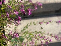 -北京金海湖景区