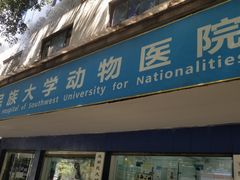 -成都民大动物医院