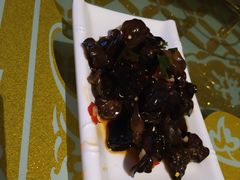 -众歌纯氧KTV(保利广场店)