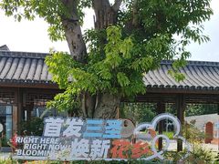 -三圣花乡旅游区