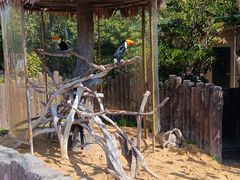 -上海野生动物园