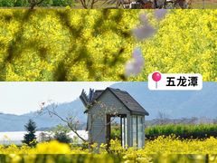 -宁波五龙潭景区