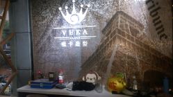 -VEKA 维卡造型