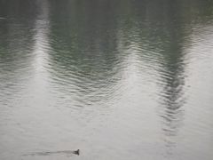 -蠡湖大桥公园