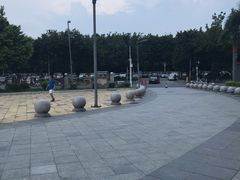 -奥林匹克体育中心游泳馆