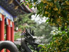 -颐和园