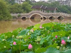 -金山公园