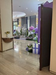 -深圳美莱医疗美容医院