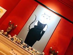 -猫色咖啡·猫咖