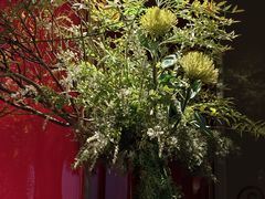 -星·South Beauty·俏江南(国贸店)