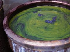 -璞真扎染博物馆