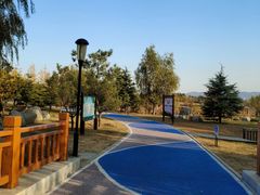 -羊亭河湿地公园