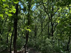 -沈阳辉山风景区