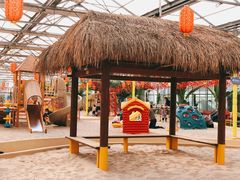 -南宫五洲植物乐园