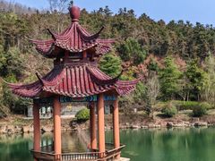 -冶父山国家森林公园