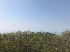 -巢湖姥山岛