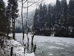 -龙苍沟森林公园