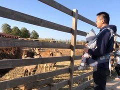 -安德鲁户外烧烤帐篷营地(马泉营店)