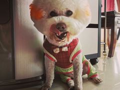 -乐琪宠物(青塔西路店)