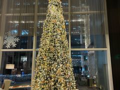 -北京康莱德酒店