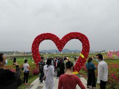 -光明小镇欢乐田园