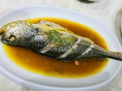 清蒸大黄鱼-欣旺·迎宾楼·百年无锡菜