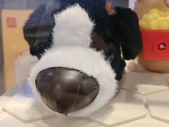 -麦当劳(惠政老街店)