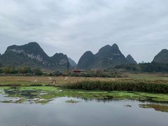 -靖西鹅泉风景区