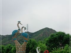 -密云玫瑰情园