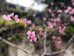 -书隐楼