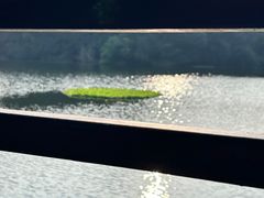 -重庆彩云湖湿地公园