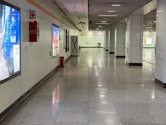 -杨高南路(地铁站)