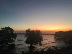 -宝安西湾红树林湿地公园