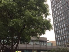 -陆家嘴世纪金融广场