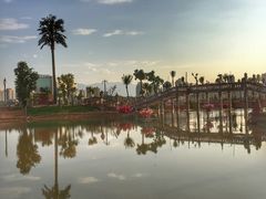 景点-告庄西双景