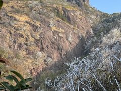 -金子山原生态旅游风景区