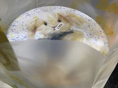 -珍妮曲奇聪明小熊(尖沙咀店)