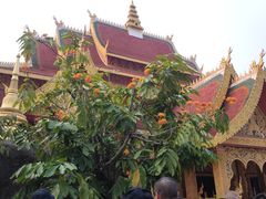 -西双版纳勐泐文化旅游区