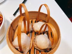 招牌虾饺皇-金鼎轩(亚运村店)