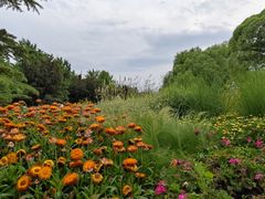 -海淀公园