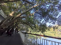 -人民公园(罗湖区)