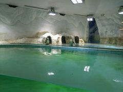 -北戴河圣蓝海洋公园