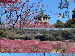 -无锡梅园公园