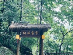 -刘伯温故里景区百丈漈