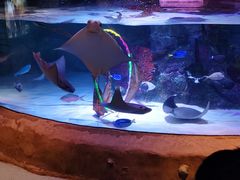 -沈阳海洋探索中心